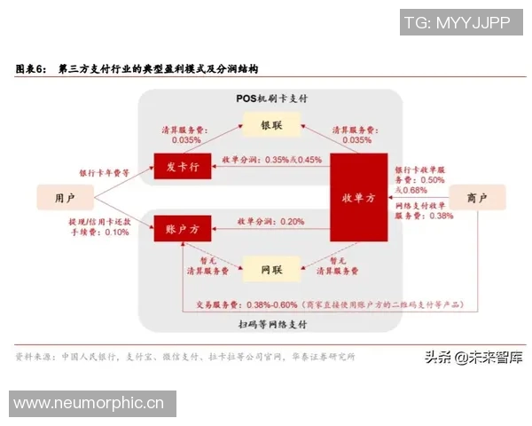 上海乒乓球队防守革新之路探索与实践的深度剖析