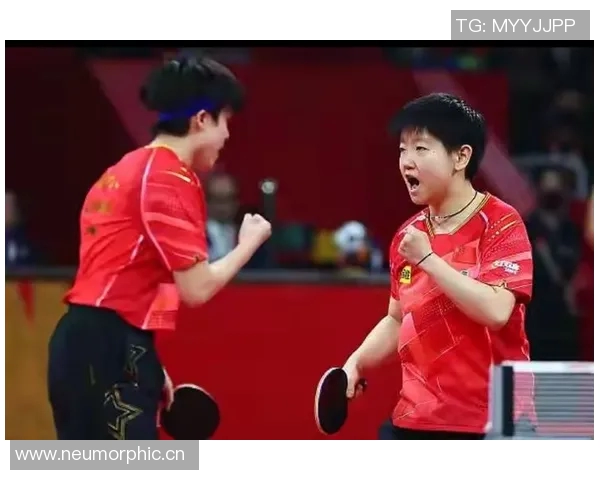 成都乒乓球队技术争议引发热议球迷与专家各执己见探讨技战术发展