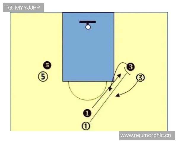 深圳篮球队进攻战术深度解析与战术创新探讨