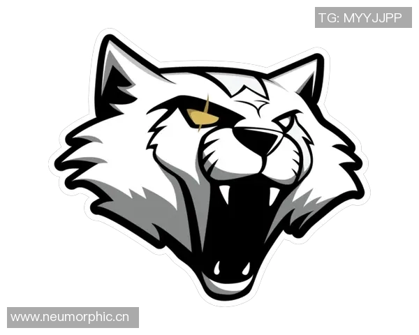 WE战队区域防守分析及其在CSGO比赛中的得失总结 WE战队区域防守分析及其在CSGO比赛中的得失总结